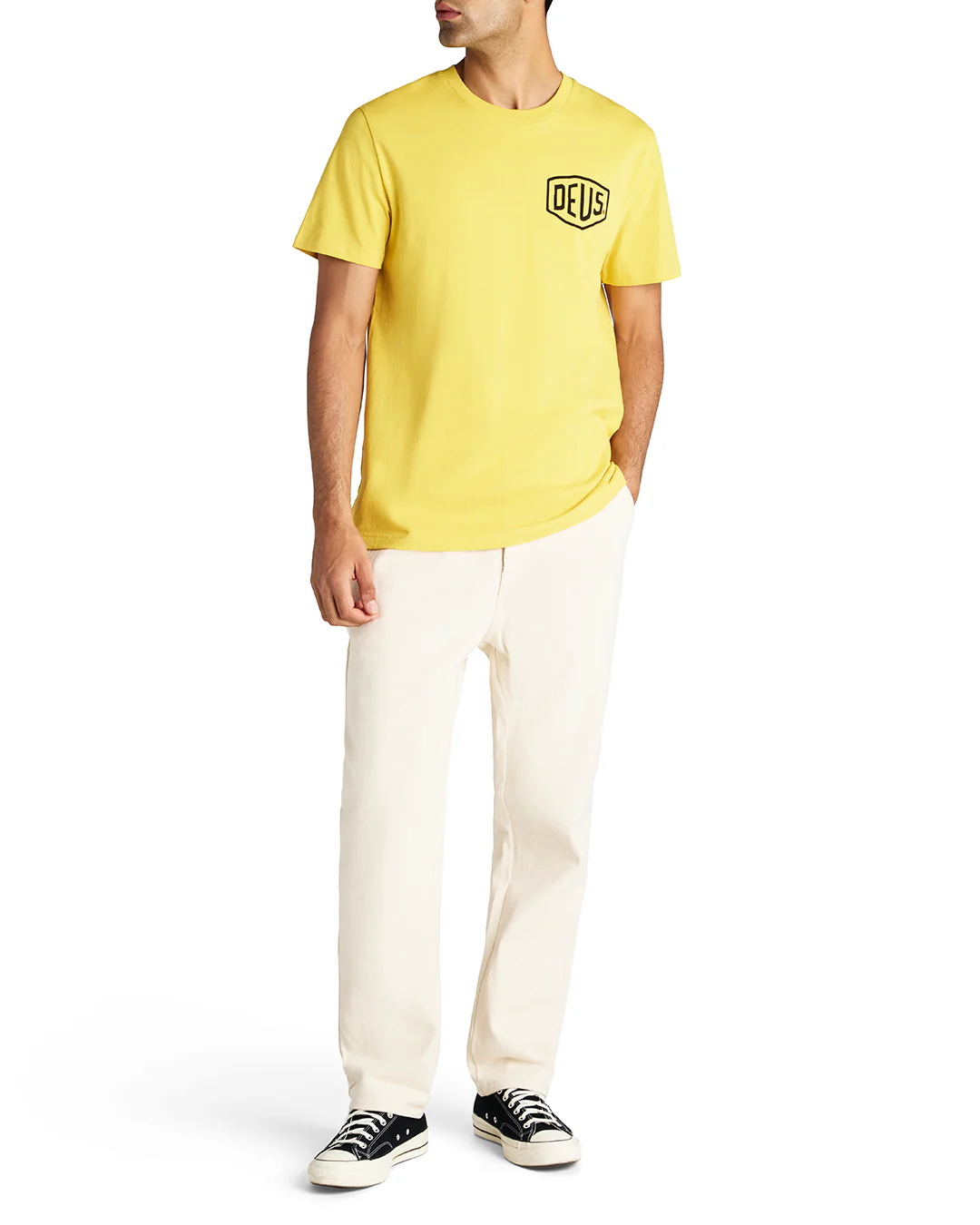 Camperdown Address - Super Lemon - Image 5