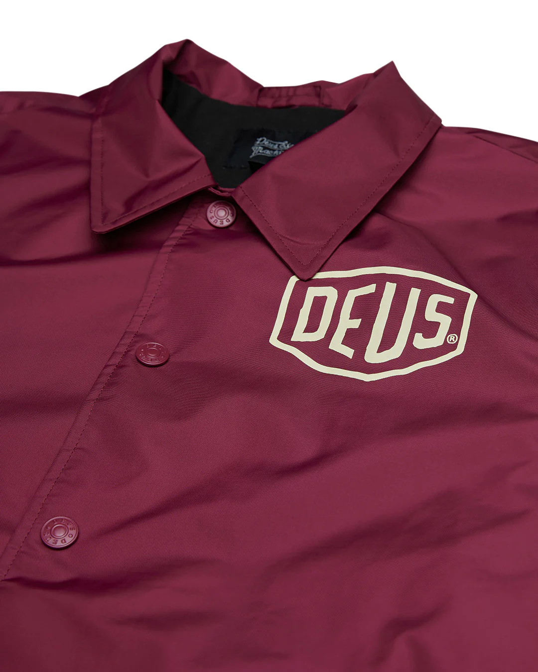 Venice Coach - Rhodo - Image 8